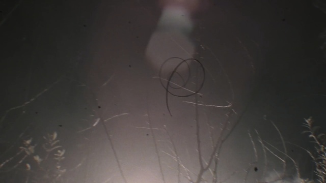 Video Reference: Sky