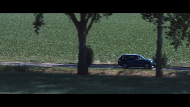 Video Reference: Land vehicle, Vehicle, Car, Tree, Mode of transport, Sky, Woody plant, Automotive exterior, Landscape, Person