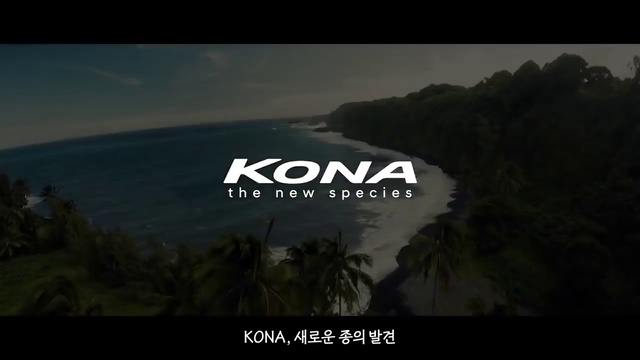 Video Reference: Nature, Sky, Font, Horizon, Tree, Coast, Cloud, Terrain, Landscape, Photography