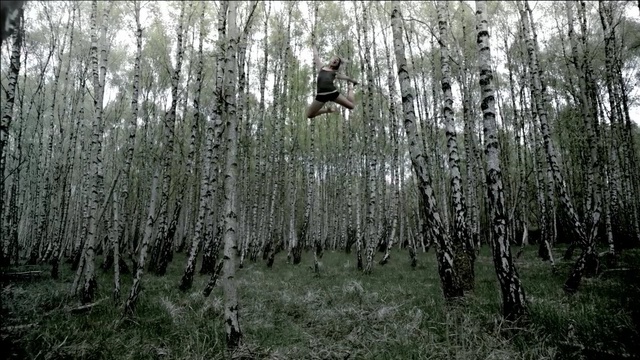 Video Reference: tree, ecosystem, woodland, forest, spruce fir forest, nature reserve, old growth forest, birch, grove, temperate coniferous forest