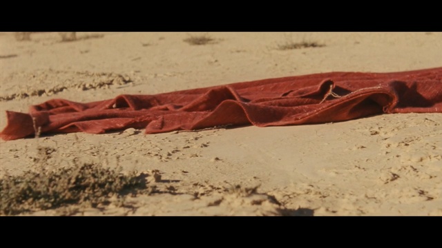 Video Reference: Sand, Natural environment, Soil, Geology, Landscape, Geological phenomenon, Ecoregion, Rock, Desert, Wood