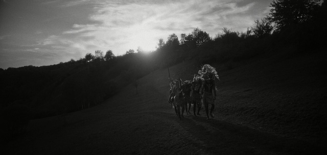 Video Reference: Black, Sky, Black-and-white, Horse, Monochrome photography, Monochrome, Photography, Cloud, Tree, Stock photography