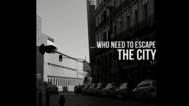 Video Reference: black and white, metropolis, monochrome photography, landmark, urban area, town, infrastructure, mode of transport, street, building