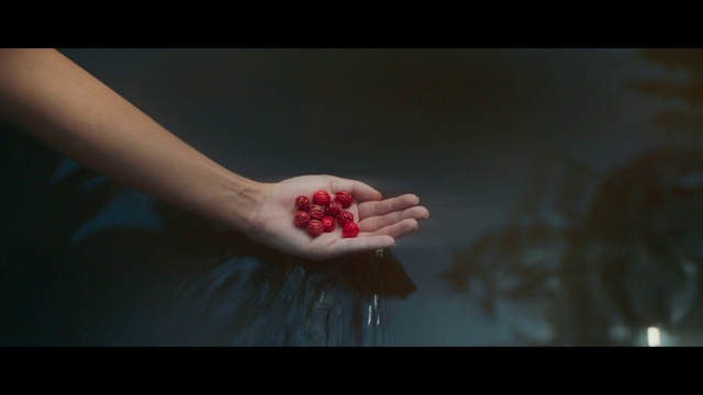 Video Reference: Red, Hand, Nail, Finger, Skin, Arm, Flesh, Lip, Close-up, Photography