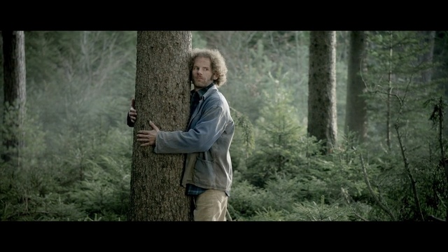 Video Reference: People in nature, Nature, Forest, Natural environment, Tree, Natural landscape, Woodland, Old-growth forest, Biome, Photography, Person