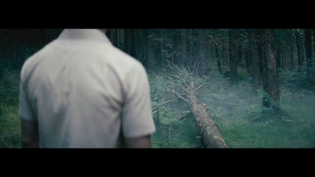 Video Reference: Green, Nature, Natural environment, Tree, Forest, Darkness, Human, Organism, Movie, Digital compositing