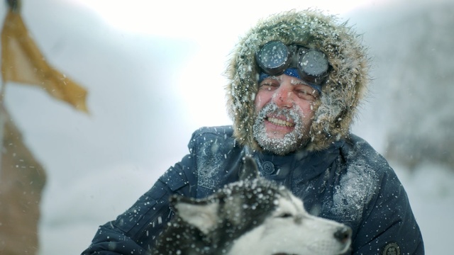 Video Reference: Dog, Canidae, Snow, Sled dog, Fur, Alaskan malamute, Winter, Blizzard, Winter storm, Siberian husky