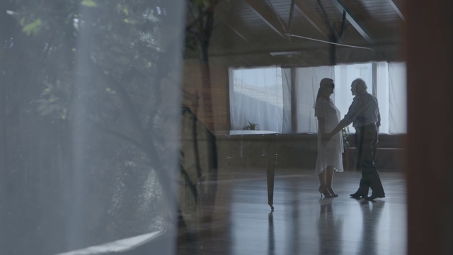 Video Reference: water, architecture, tourist attraction, window, glass, house, tree