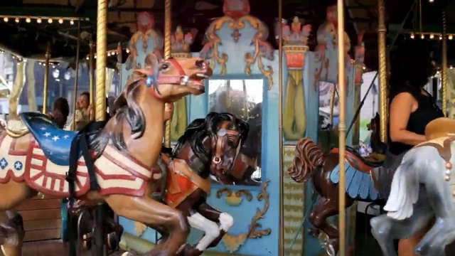 Video Reference: Carousel, Amusement ride, Amusement park, Park, Recreation, Fun, Nonbuilding structure, Leisure, Art, Person