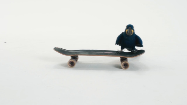 Video Reference: skateboard, skateboarding equipment and supplies, sports equipment, longboard, freebord, Person