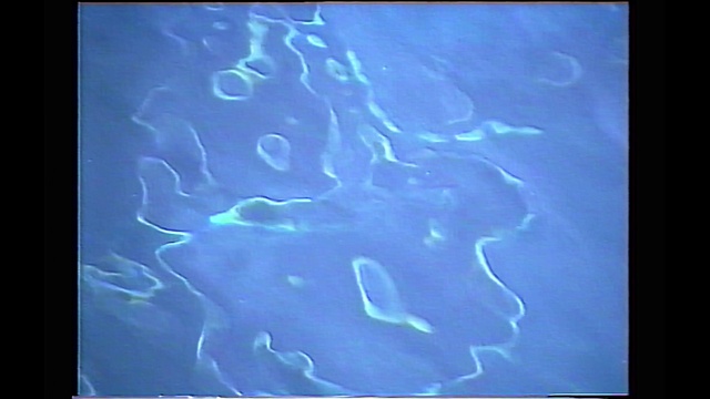 Video Reference: Water, Organism, Electric blue, Art, Visual arts, Monitor, Screen, Electronics, Indoor, Display, Television, Computer, Sitting, Table, Keyboard, Laptop, Photo, Desk, White, Flat, Large, Mouse, Black, Woman, Holding, Cat, Man, Phone, Laying, Blue, Text, Reef, Swimming, Aquarium, Fish, Marine mammal, Aqua, Underwater, Image