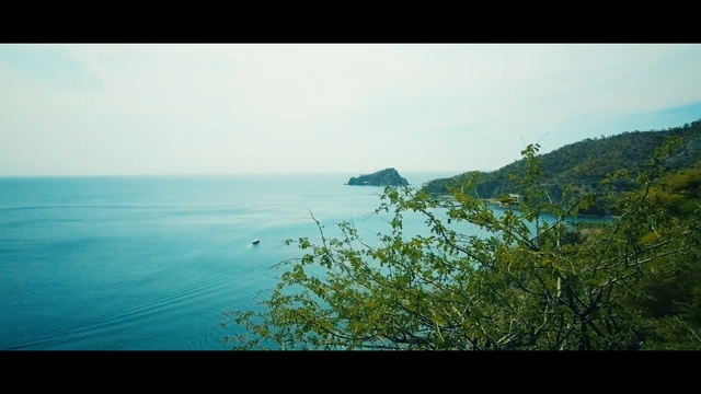 Video Reference: sea, horizon, coast, sky, water, promontory, shore, ocean, tree, morning
