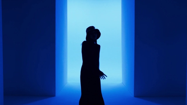 Video Reference: Blue, Cobalt blue, Silhouette, Backlighting, Light, Standing, Shadow, Electric blue, Sky, Photography