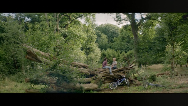 Video Reference: Woodland, Nature, Forest, Tree, Natural environment, Wilderness, Jungle, Nature reserve, Vegetation, Old-growth forest