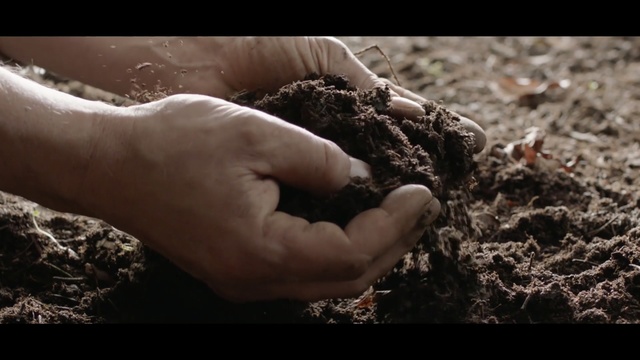 Video Reference: Soil, Compost, Hand, Rock, Photography, Person