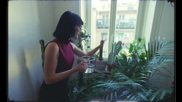 Video Reference: Photograph, Snapshot, Houseplant, Botany, Black hair, Plant, Room, Dress, Photography, Sunlight