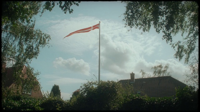 Video Reference: Sky, Flag, Cloud, Tree, Pole, Architecture, Plant, Wind