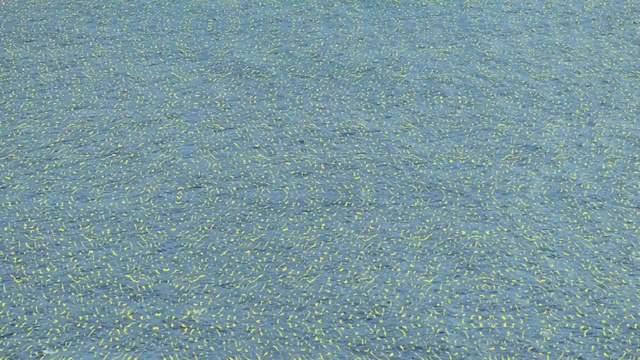 Video Reference: blue, azure, sky, grass, pattern