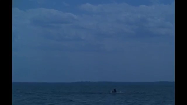 Video Reference: Sky, Horizon, Sea, Ocean, Blue, Cloud, Sound, Calm, Wind wave, Wave