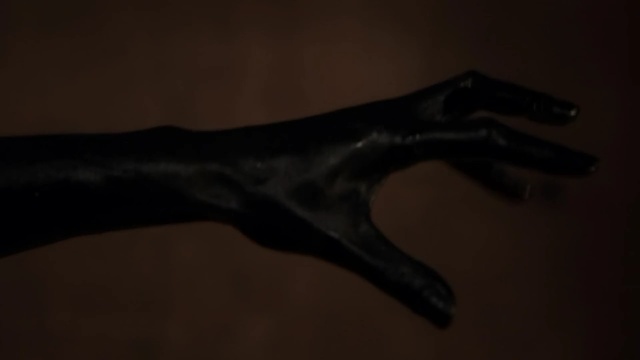 Video Reference: hammerhead, shark