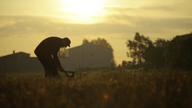 Video Reference: sky, field, grass, grassland, cloud, morning, sunlight, tree, grass family, atmosphere
