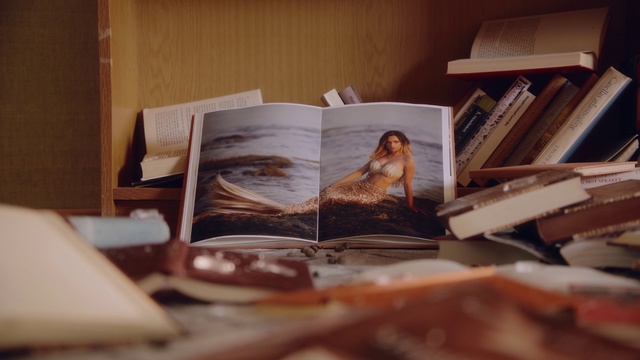 Video Reference: Room, Bed, Furniture, Photography, House, Book, Bedroom, Still life, Bed sheet