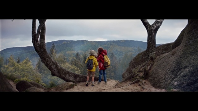 Video Reference: Nature, Wilderness, Mountainous landforms, Mountain, Adventure, Tree, Recreation, Photography, Travel, National park