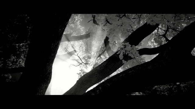 Video Reference: black, white, black and white, photograph, monochrome photography, darkness, sky, light, photography, atmosphere