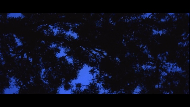 Video Reference: sky, blue, black, atmosphere, nature, night, darkness, moonlight, biome, universe, Person