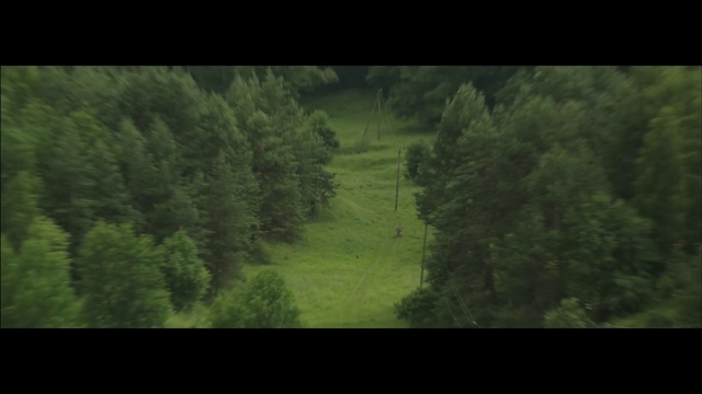 Video Reference: Green, Nature, Vegetation, Forest, Natural environment, Biome, Tree, Atmospheric phenomenon, Wilderness, Sky