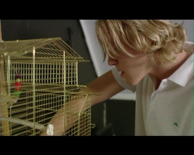 Video Reference: Cage, Animal shelter, Parakeet, Budgie, Pet supply, Bird