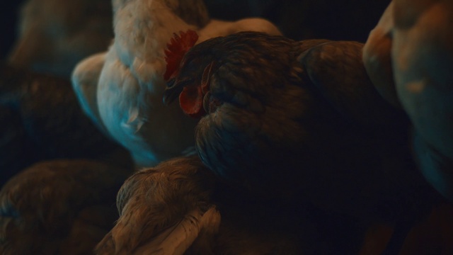 Video Reference: Sky, Muscle, Art