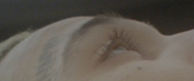 Video Reference: Eyebrow, Nose, Forehead, Head, Eye, Organ, Eyelash, Ear, Iris