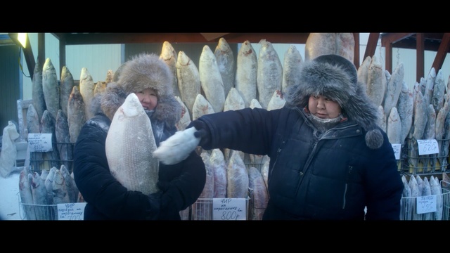 Video Reference: Snapshot, Fur, Photography, Screenshot