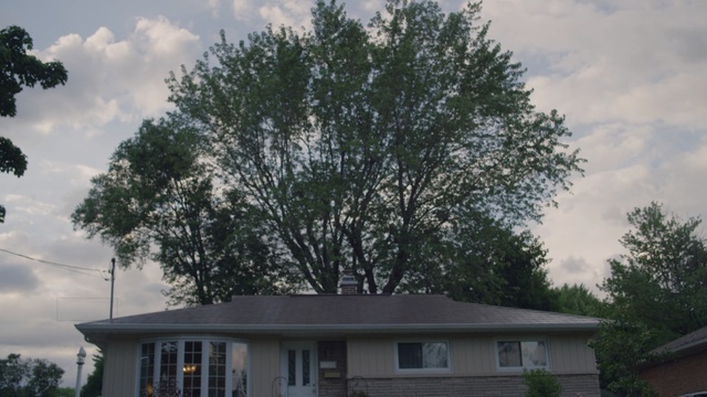 Video Reference: tree, home, sky, property, woody plant, house, plant, cloud, residential area, roof