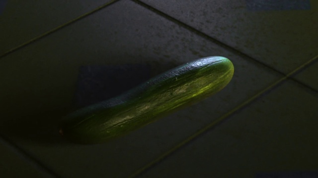 Video Reference: Green, Plant