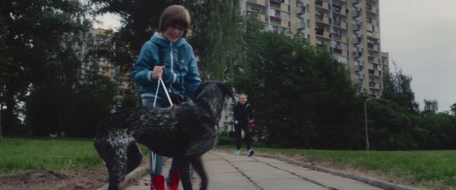 Video Reference: Dog, Mammal, Vertebrate, Canidae, Dog breed, Leash, Dog walking, Carnivore, Sporting Group, Obedience training