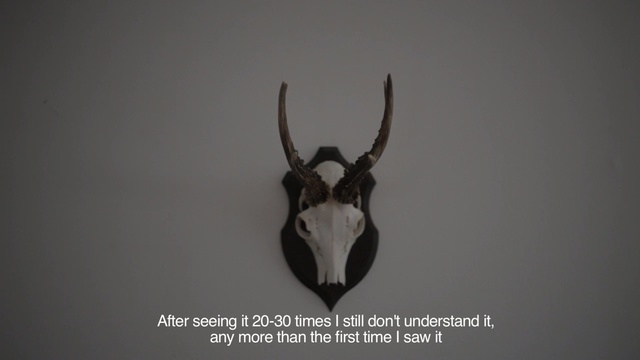 Video Reference: Horn, Antler, Antelope, Stock photography, Wildlife
