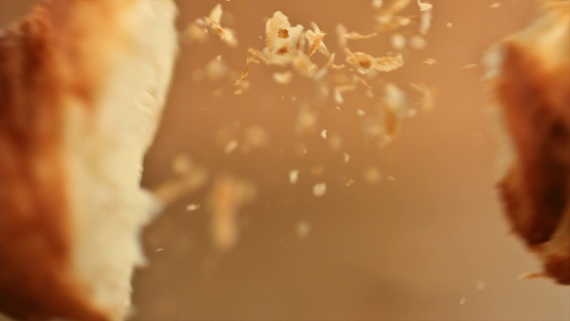 Video Reference: Water, Close-up, Macro photography, Organism, Sunlight, Photography, Fawn, Space