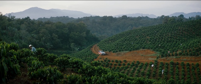 Video Reference: Highland, Hill station, Vegetation, Plantation, Hill, Forest, Rural area, Landscape, Jungle, Rainforest