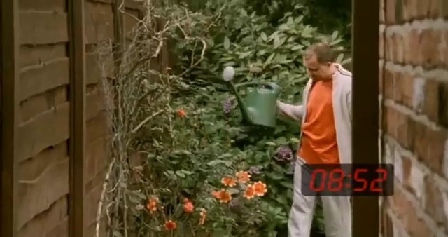 Video Reference: Garden, Shrub, Plant, Flower, Leaf, Tree, Yard, Spring, Window, Branch