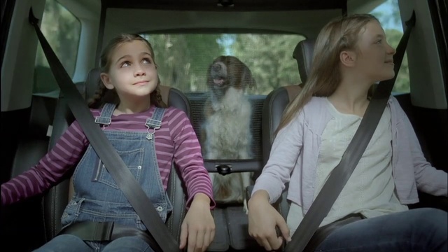 Video Reference: Human, Conversation, Sitting