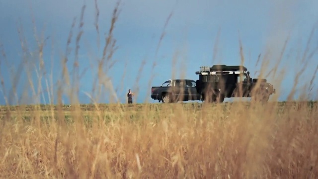 Video Reference: Prairie, Field, Grassland, Crop, Grass family, Harvest, Straw, Ecoregion, Plain, Agriculture