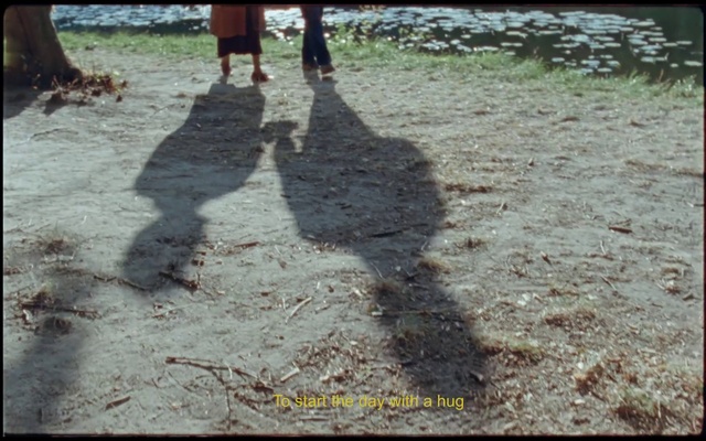 Video Reference: Shadow, Tree, Leg, Soil, Grass, Sidewalk, Road surface, Asphalt, Walking, Plant