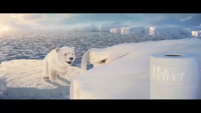 Video Reference: Polar bear, Bear, Arctic, Natural environment, Sky, Ice, Atmospheric phenomenon, Freezing, Carnivore, Polar bear