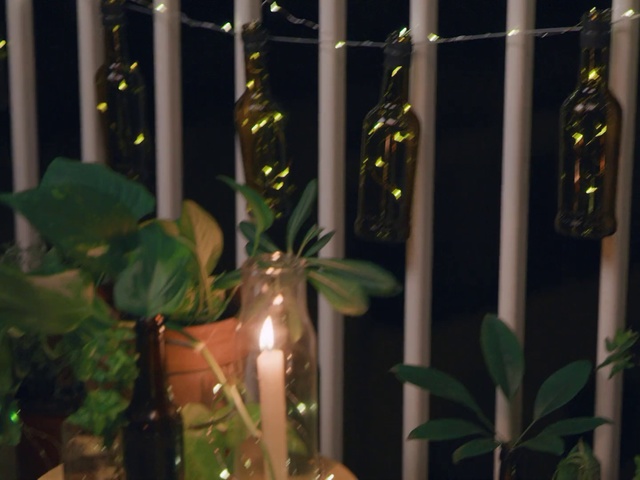 Video Reference: Houseplant, Plant, Flower, Plant stem