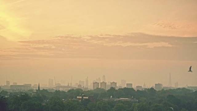 Video Reference: Sky, Atmospheric phenomenon, Urban area, Daytime, Morning, Haze, Metropolitan area, Cloud, Horizon, City