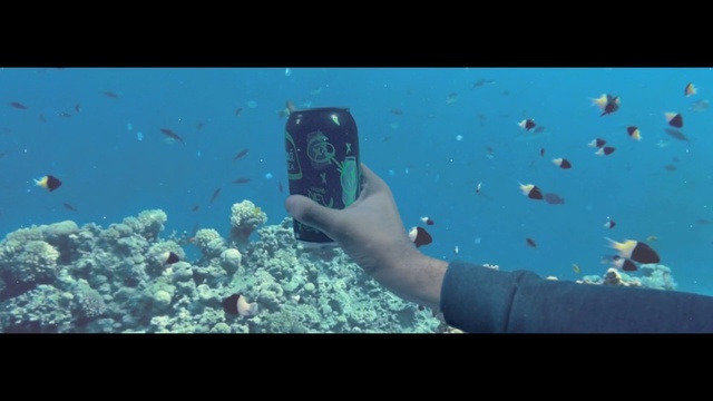 Video Reference: Underwater, Water, Marine biology, Coral reef, Reef, Organism, Natural environment, Coral reef fish, Ocean, Coral
