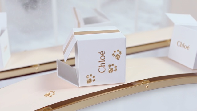 Video Reference: Font, Brand