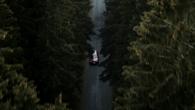 Video Reference: Nature, Natural environment, Water, Tree, Waterway, Forest, Watercourse, Wilderness, River, Geological phenomenon